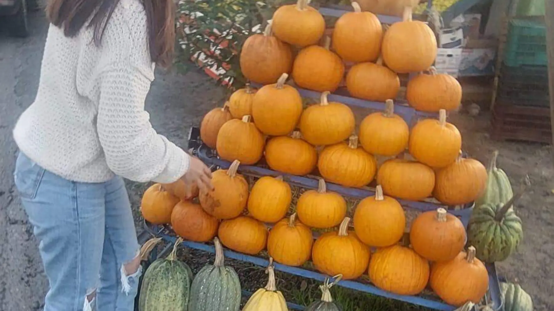 calabazas (6)